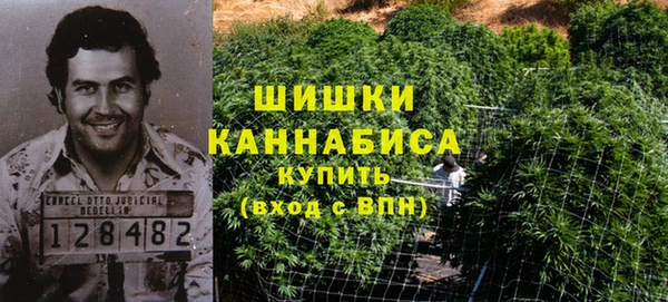 меф Каменск-Шахтинский