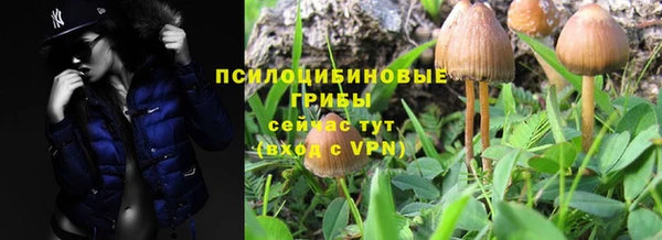 меф Каменск-Шахтинский