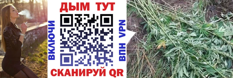 МАРИХУАНА THC 21%  Купить закладки  Лахденпохья 